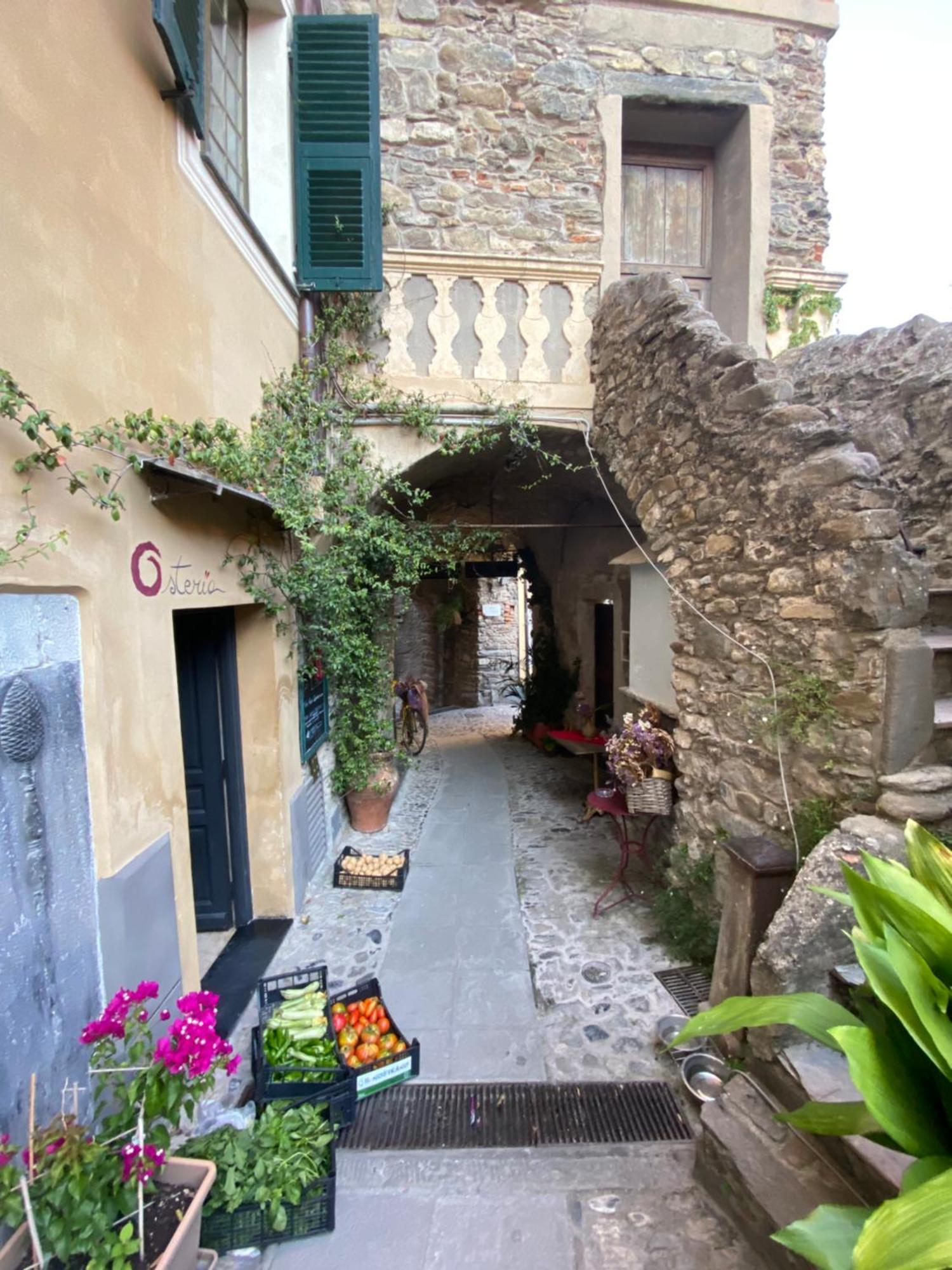 Iconic Italian Townhouse W Rooftop Terrace & Mountain View, Pigna Bagian luar foto