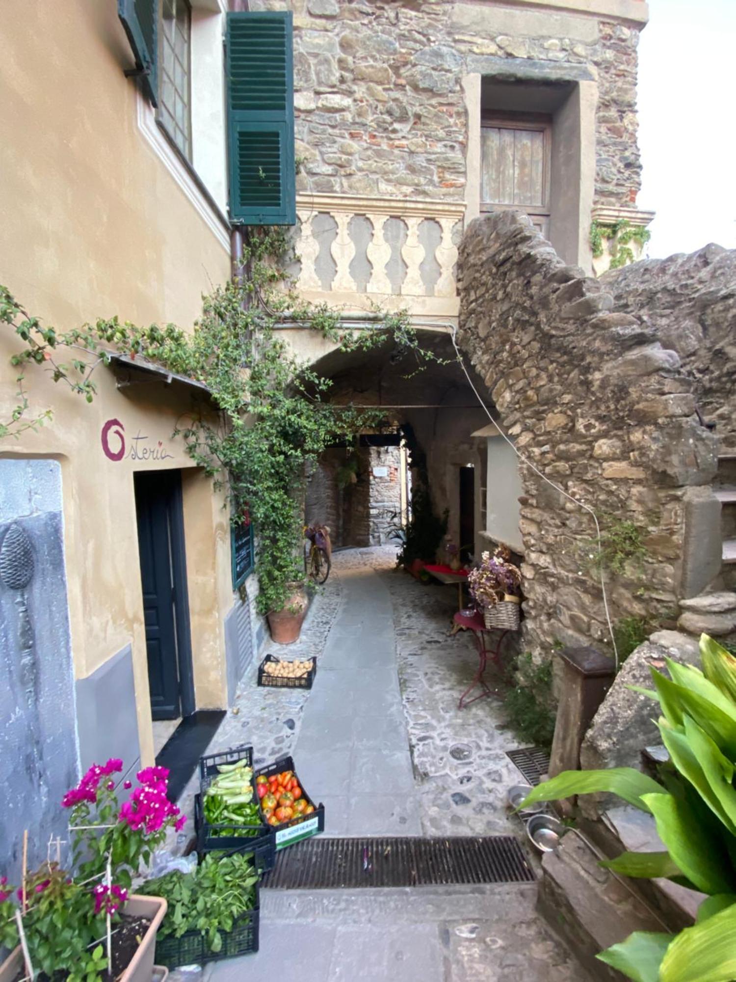 Iconic Italian Townhouse W Rooftop Terrace, Pigna Villa Bagian luar foto